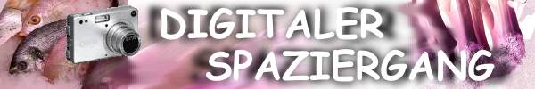 Digitaler Spaziergang