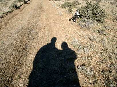 Schatten und Katze