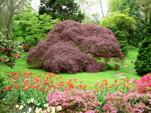 Japanischer garten