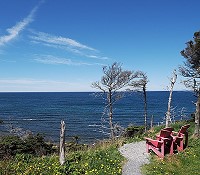 Rote Stühle