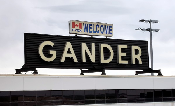 Gander