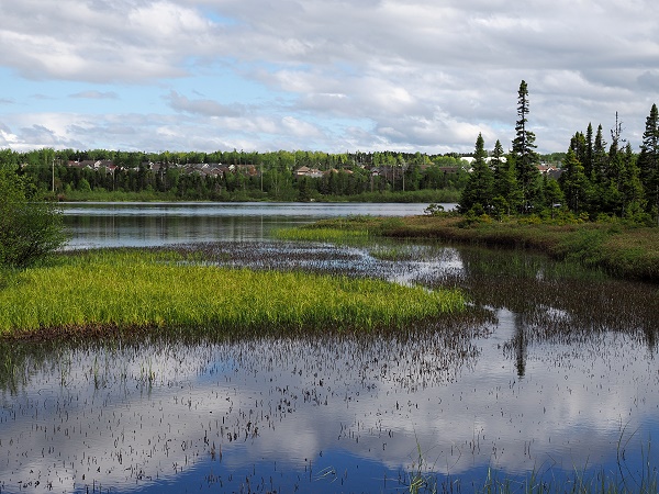 Cobb's Pond