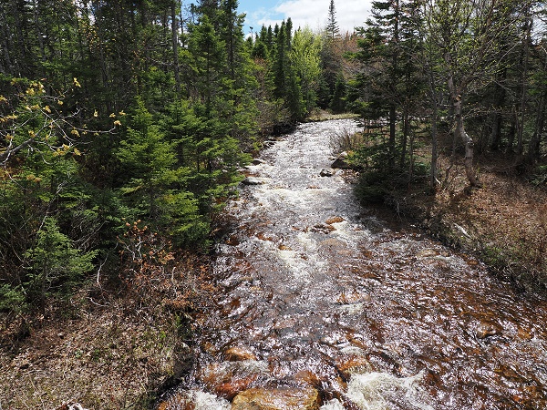 Corner Brook