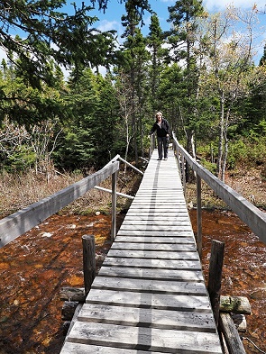 Brücke