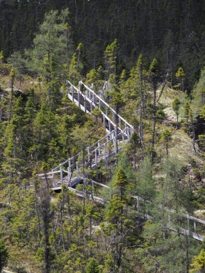 Treppe