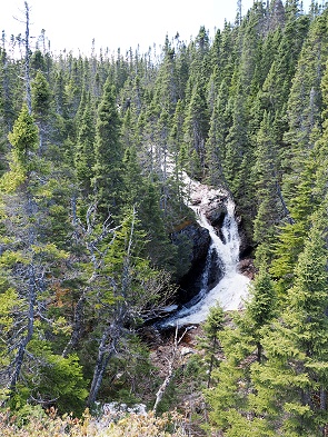 Rowsell’s Falls