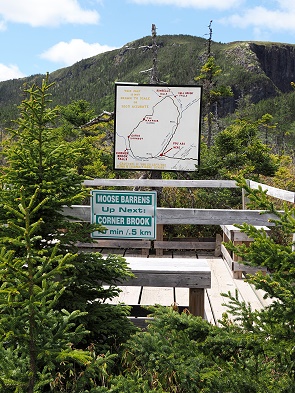 Abzweigung