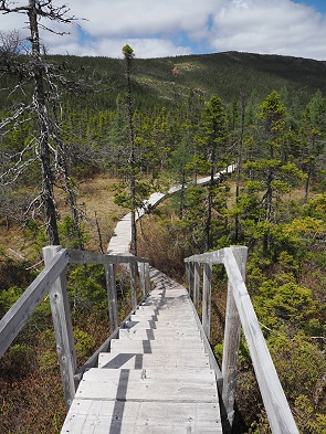 Treppe