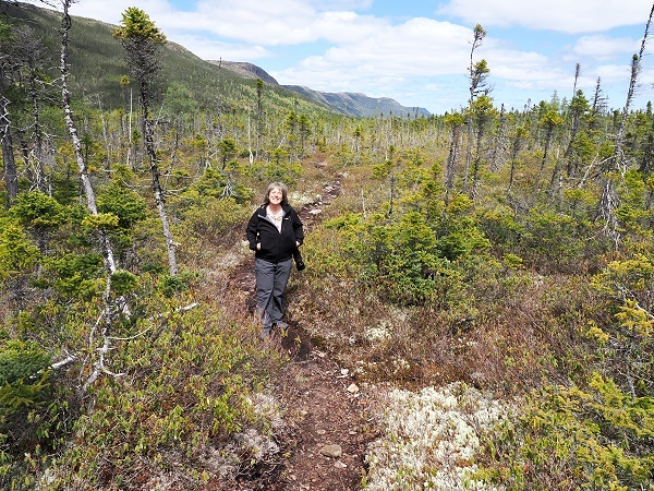 Moose Barrens