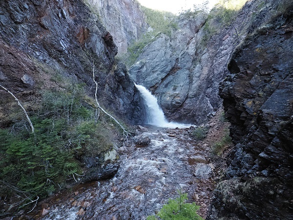 Corner Brook Falls