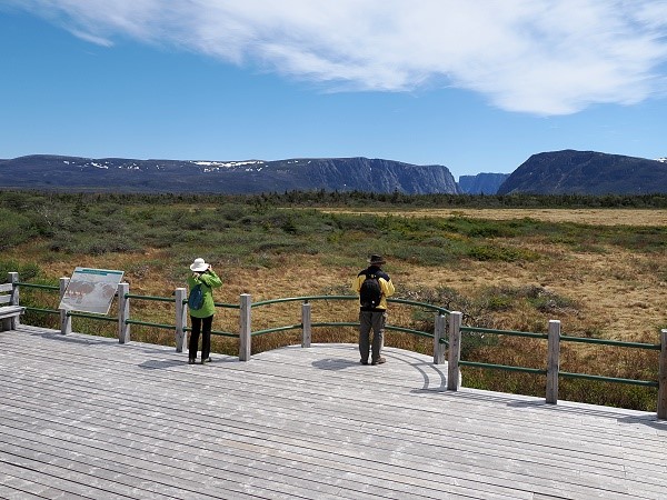 Aussicht auf Western Brook