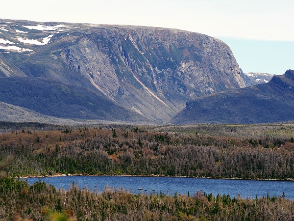 Western Brook