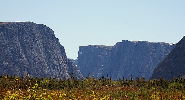 Western Brook
