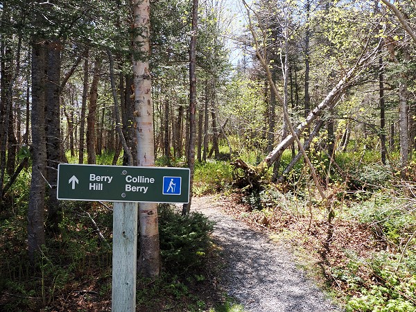 Berry Hill Trail