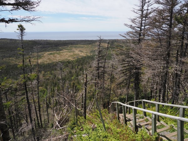 Treppen mit Aussicht
