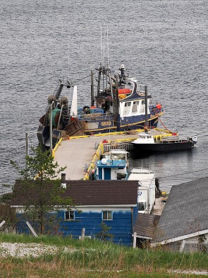 Pier