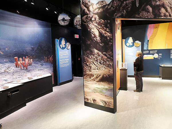 Ausstellung