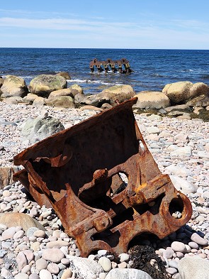 Rost