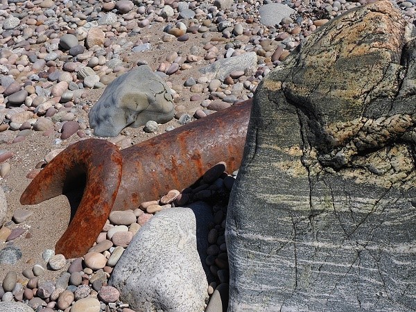 Rost