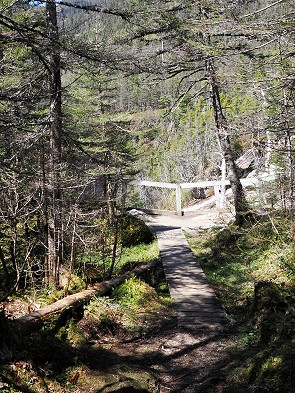 Weg
