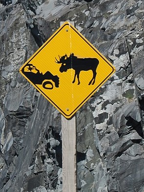 Schild