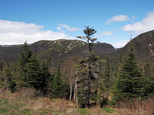 Landschaft