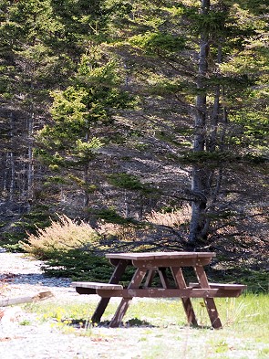 Picknick