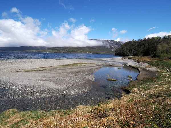 Kiesstrand mit Aussicht