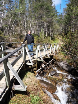 Brücke am Bach