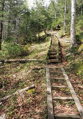 Weg