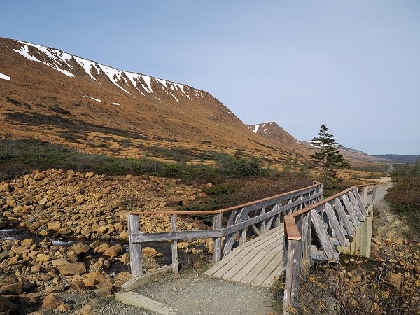 Brücke