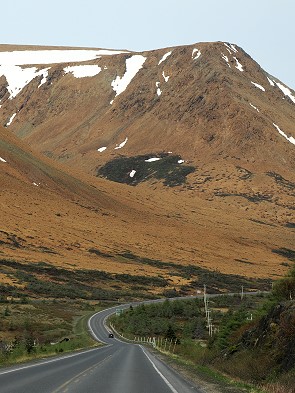 Straße nach Trout River