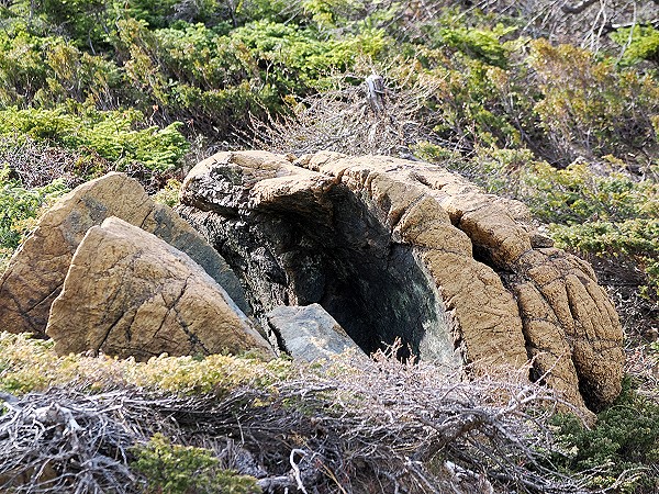 Erdmantelgestein