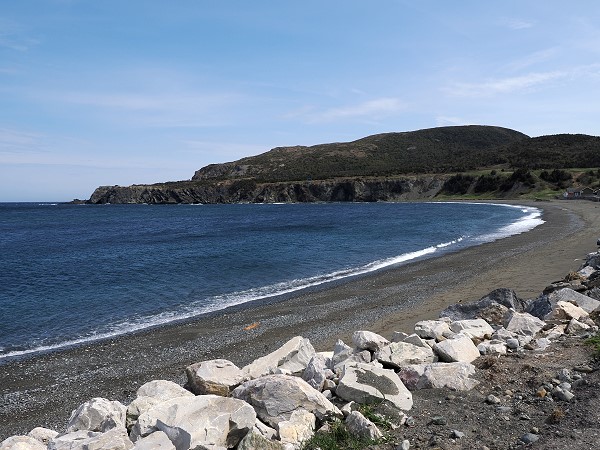 Strand Trout River