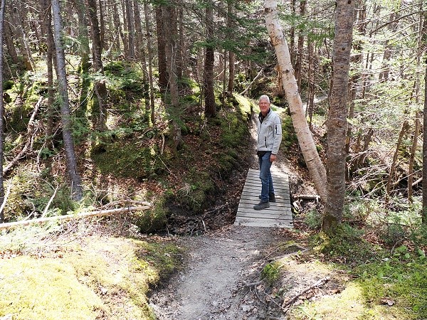 Im Wald