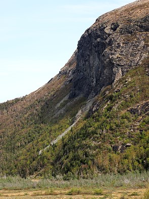 Felsen