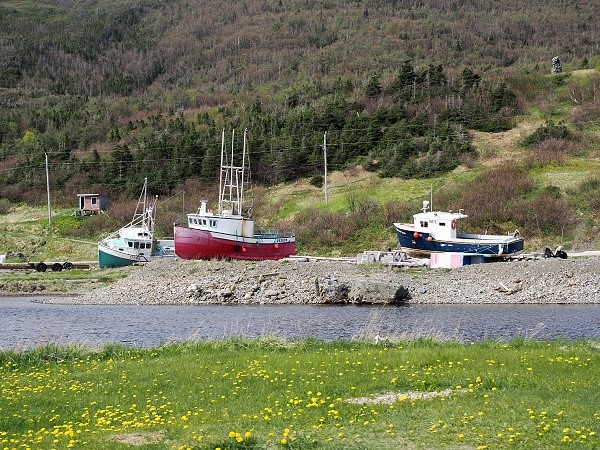 Boote