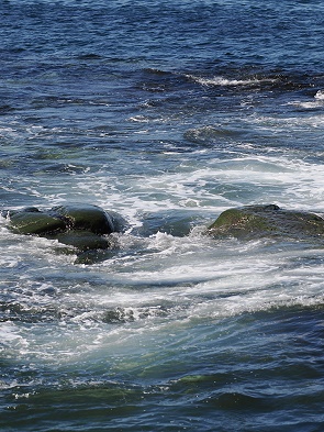 Meer