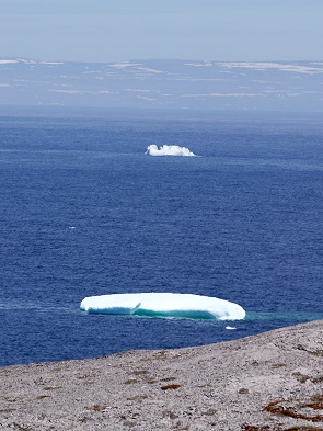Eis