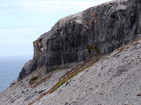 Felsen