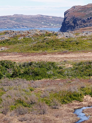 Landschaft