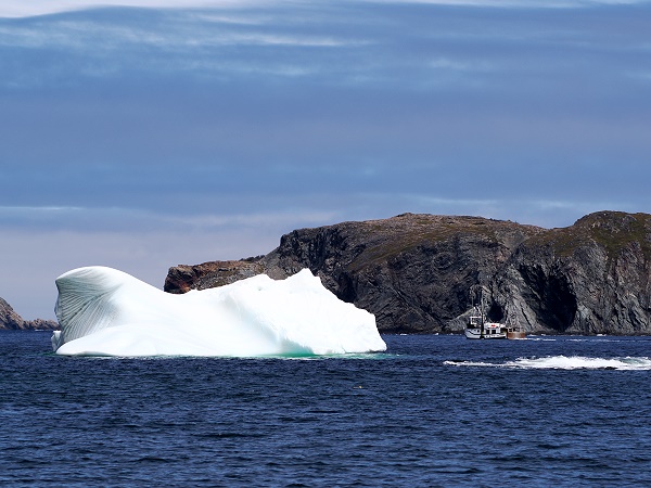 Eisberg bei Wild Cove