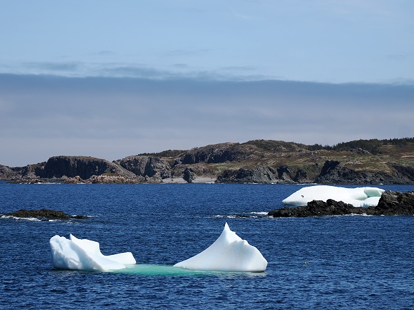 Eis bei Wild Cove