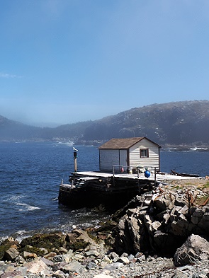Haus und Nebel