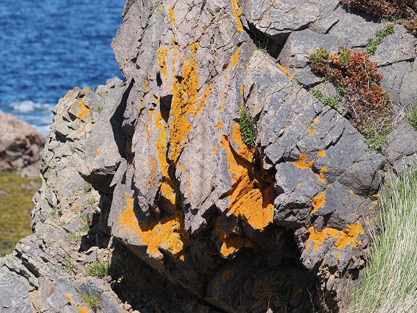 Felsen