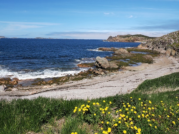 French Beach