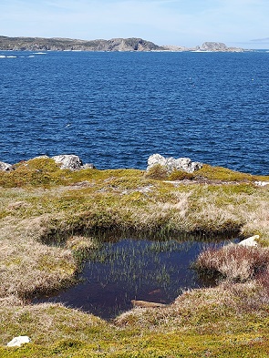Küste