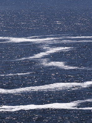 Wasser