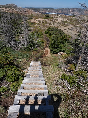 Treppe