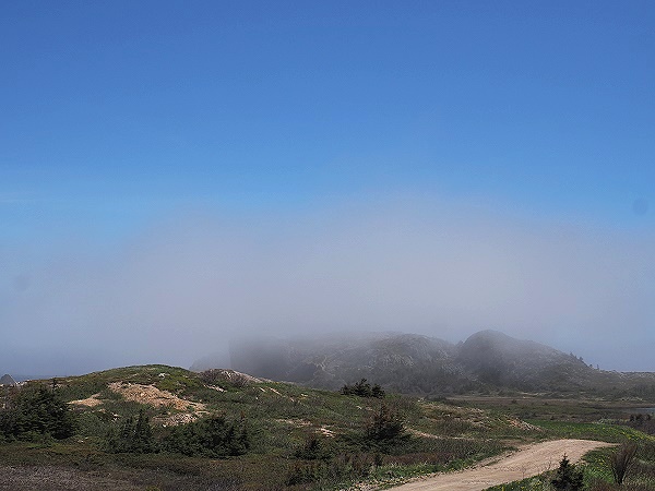 Nebel